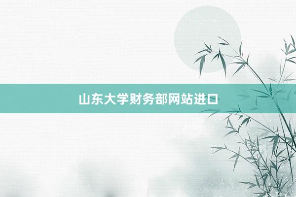 山东大学财务部网站进口